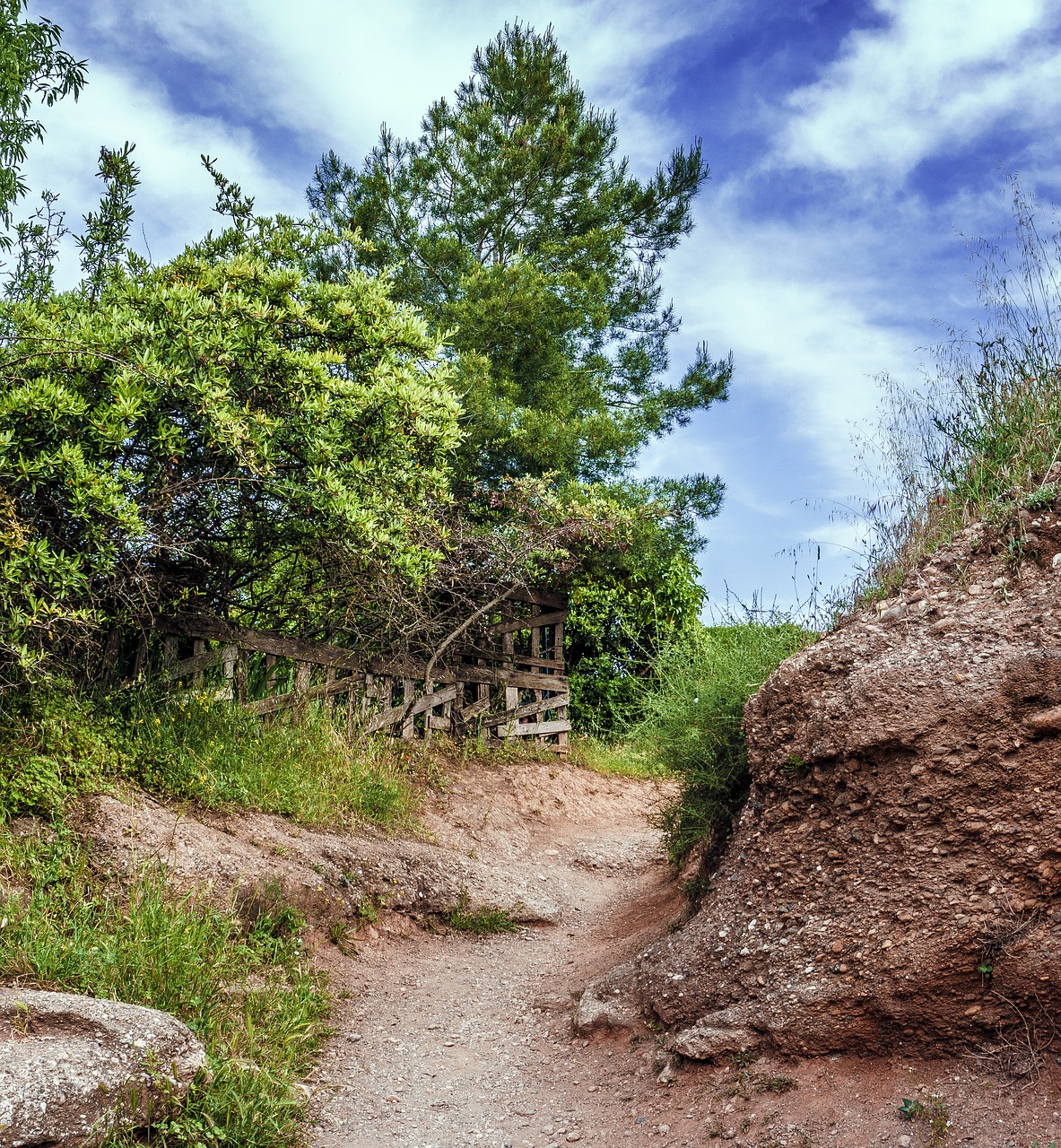 path  rural  landscape free photo