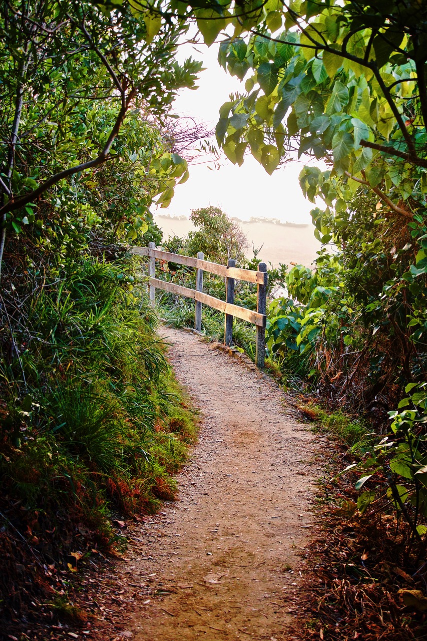 path  track  railing free photo