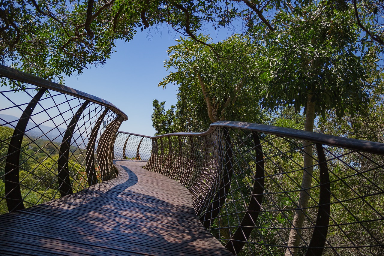 path  walkway  landscape free photo