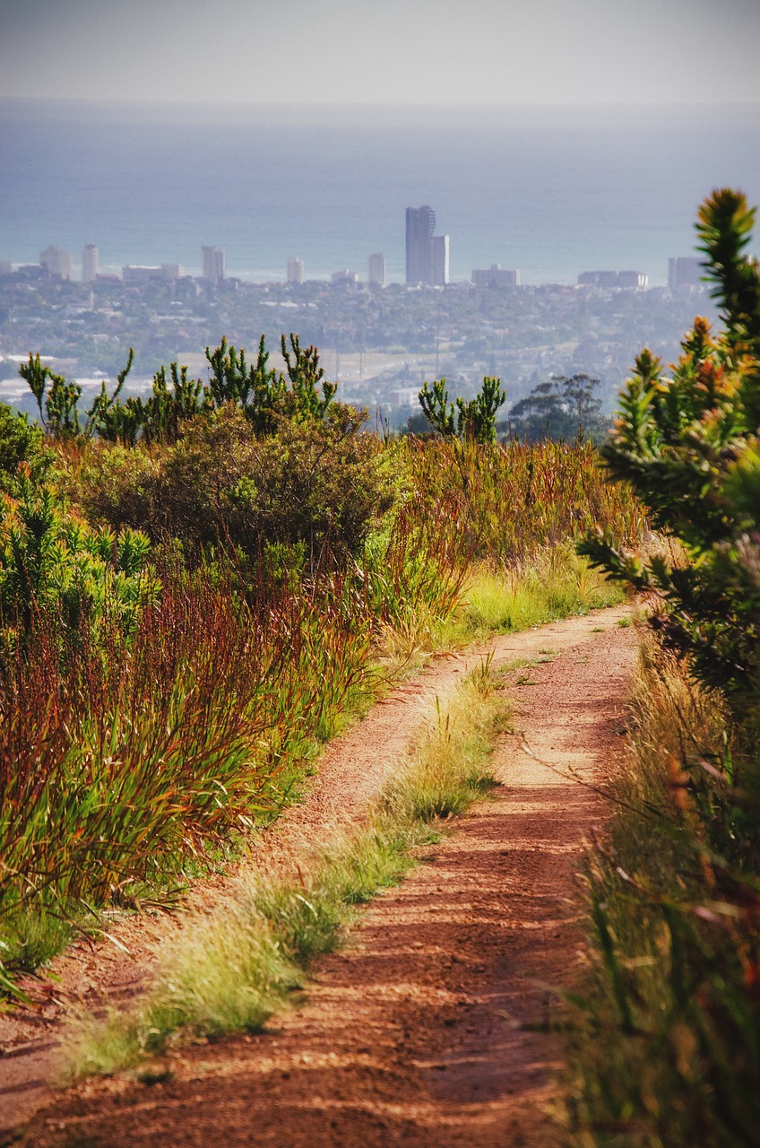 path  trail  hiking free photo