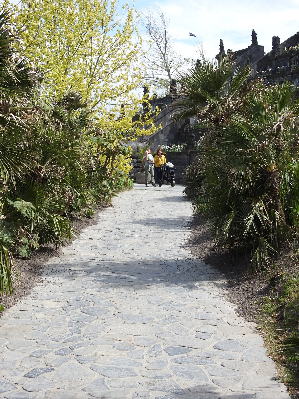 path  tree  nature free photo