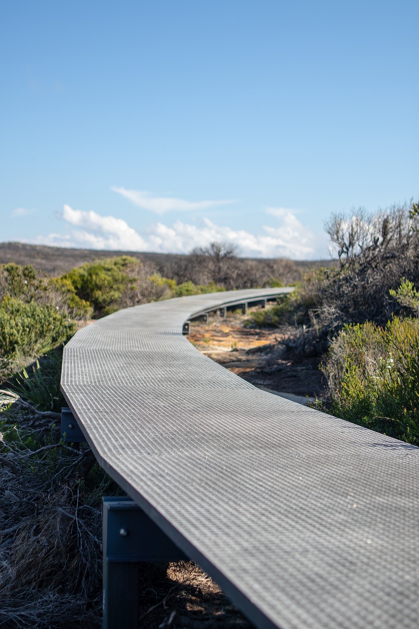 path  metal  bush free photo