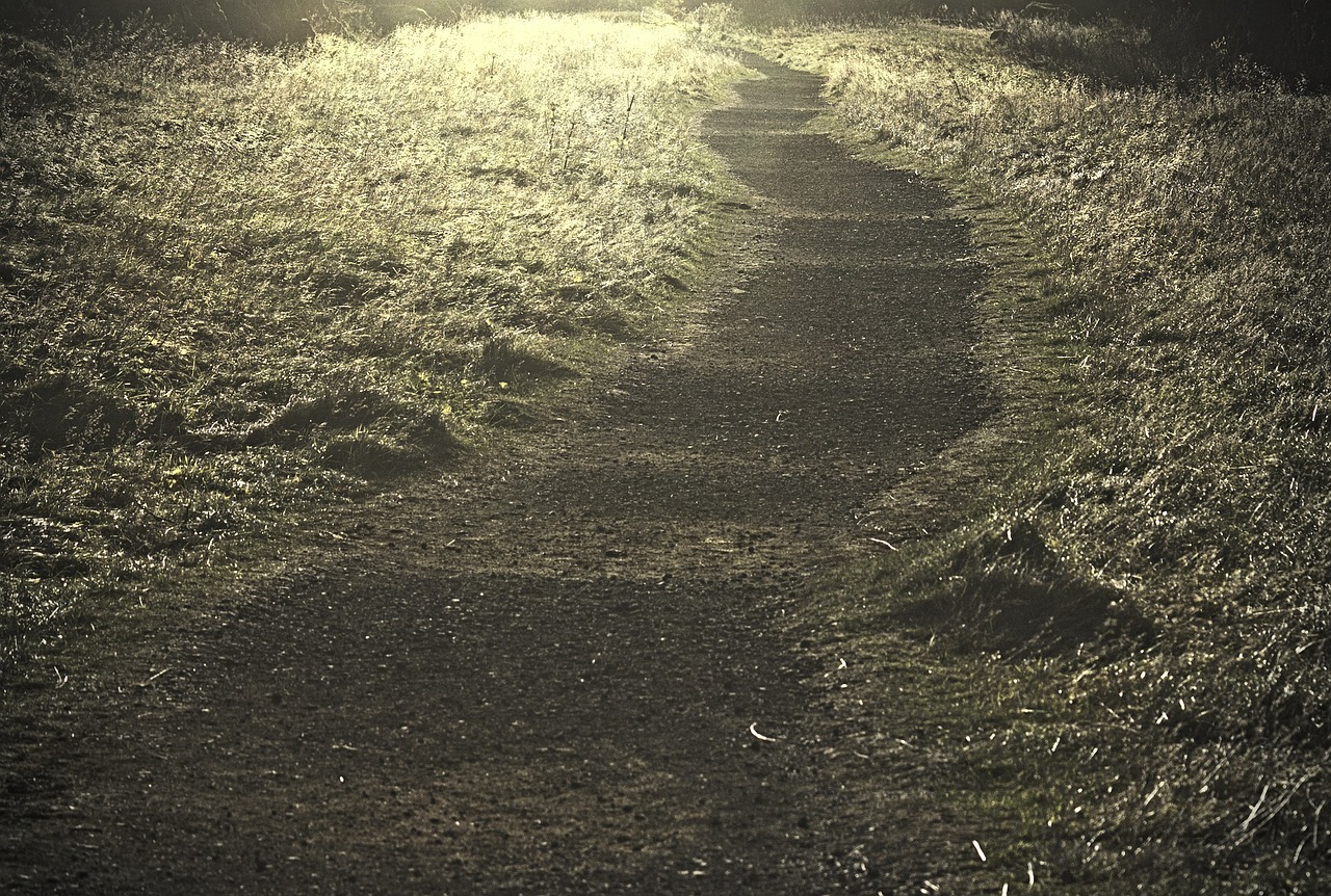 path golden nature free photo