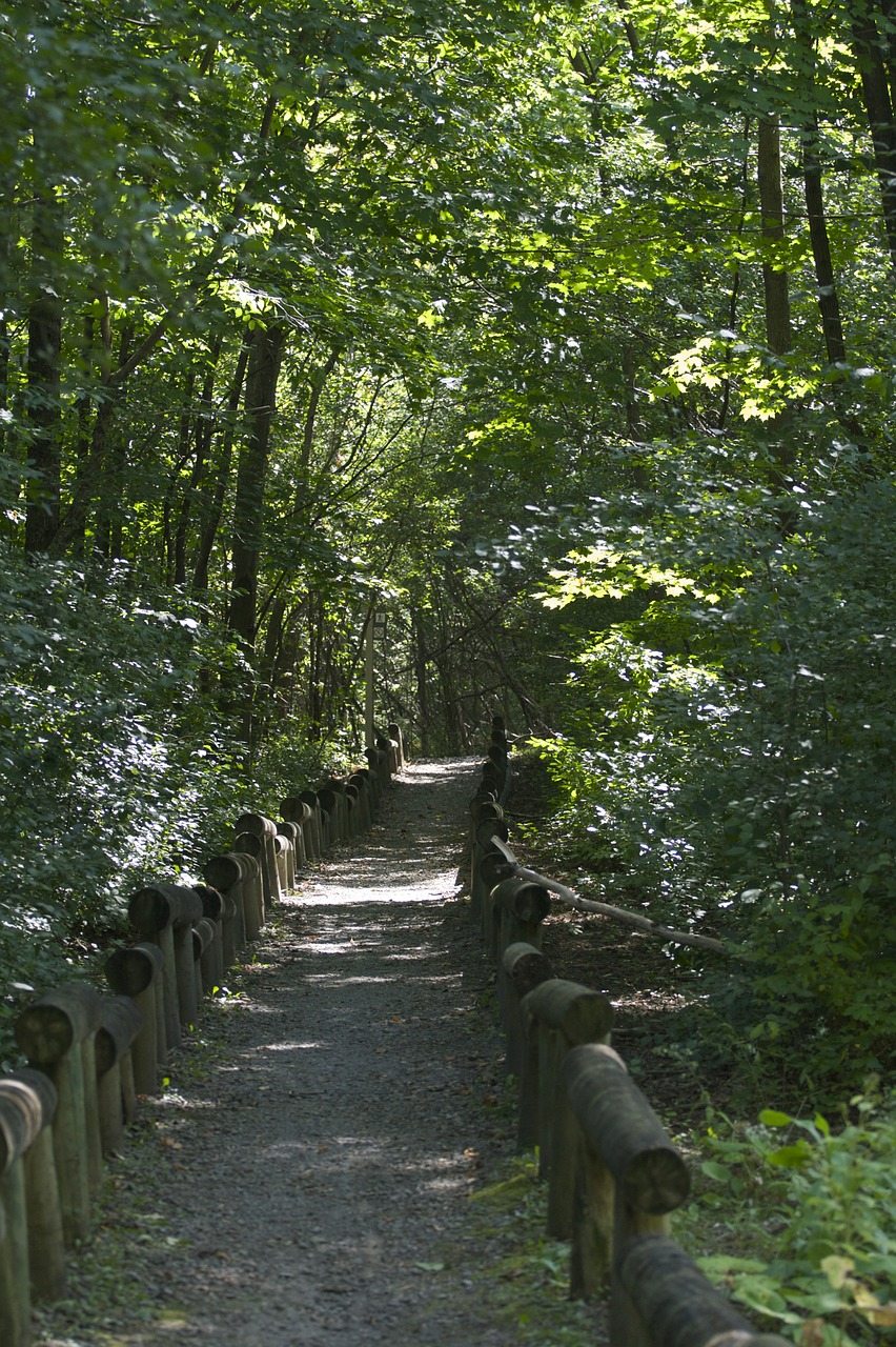 path garden nature free photo