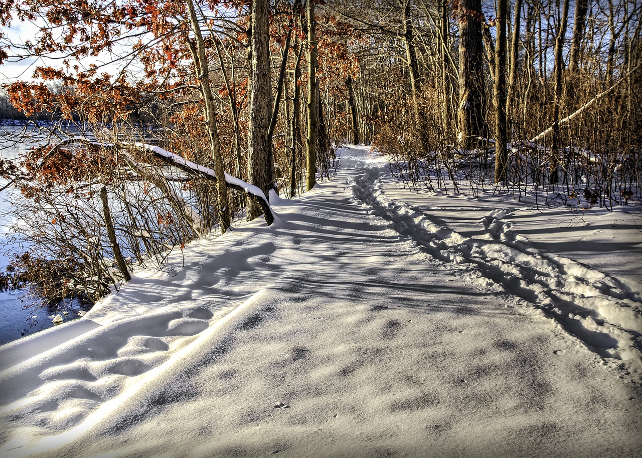 path snow track free photo