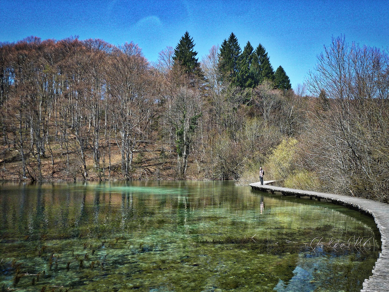 path lake placid free photo