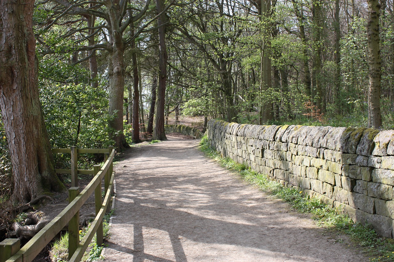 path woods footpath free photo