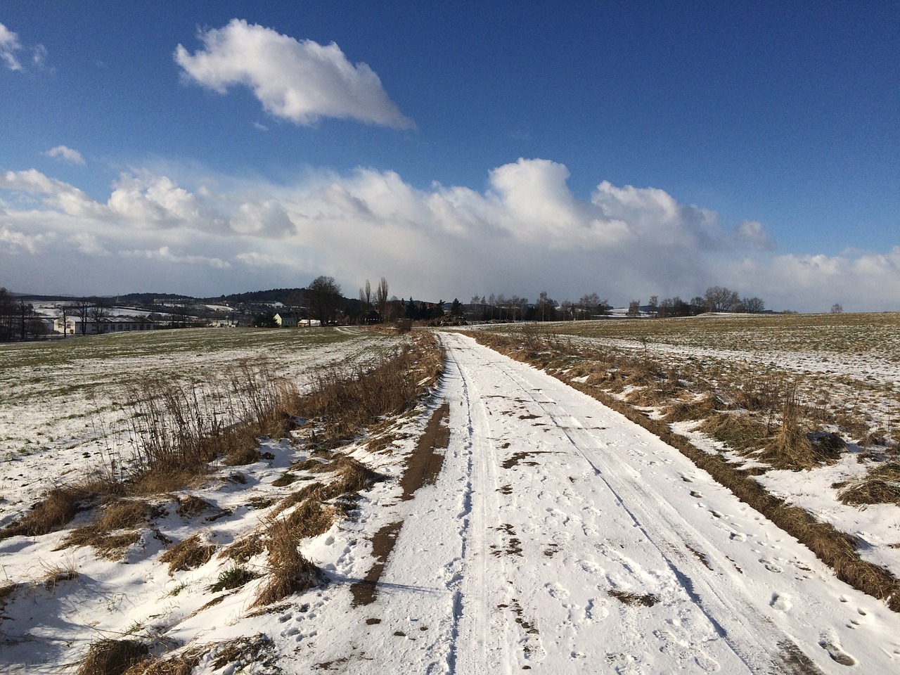 path winter snow free photo