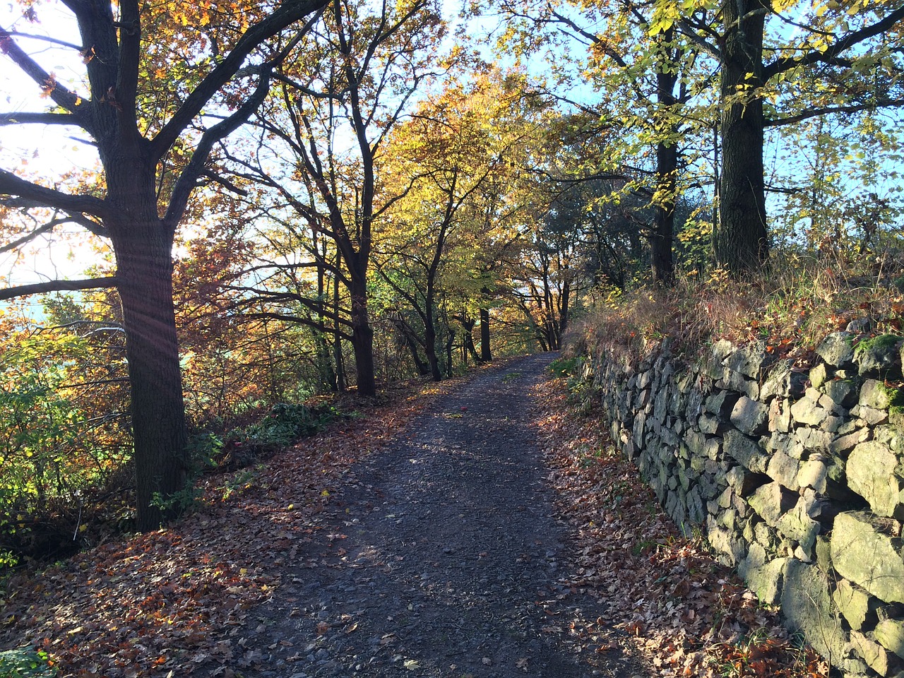 path wall stone free photo