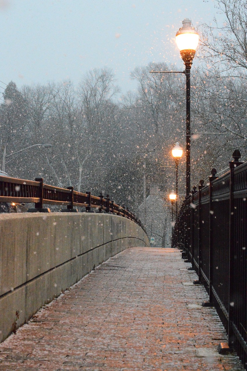 path way bridge free photo