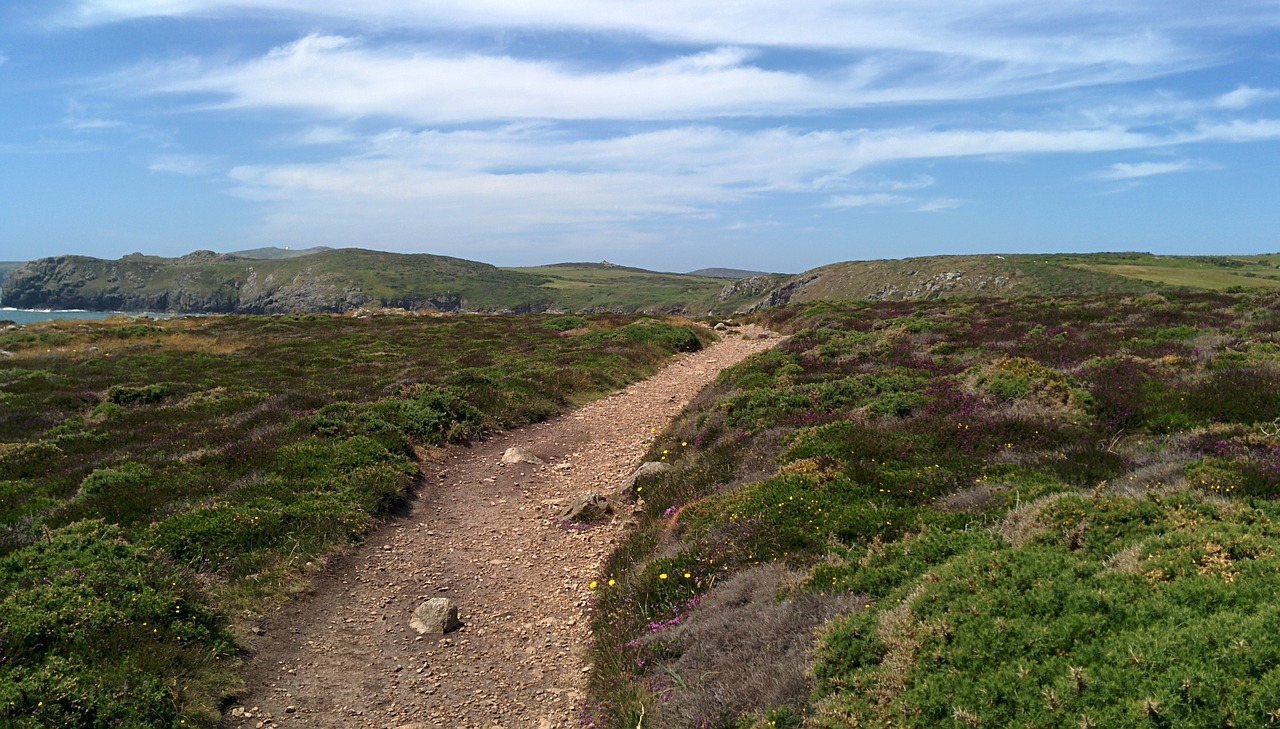 path coast heather free photo