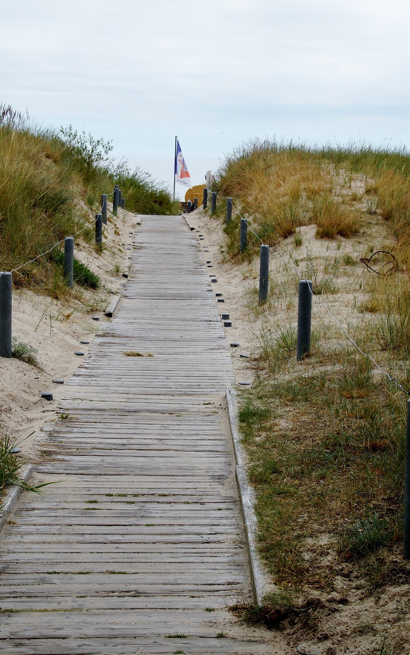 path the trail dunes free photo