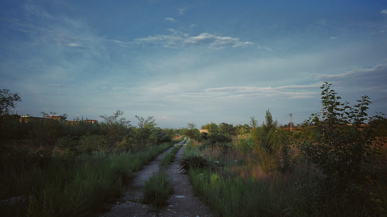 path trail road free photo