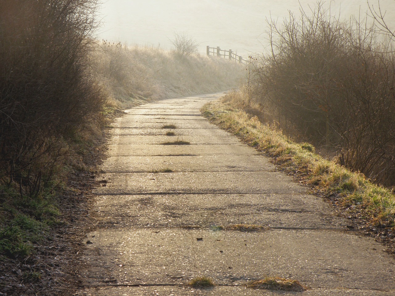 path winter icing free photo