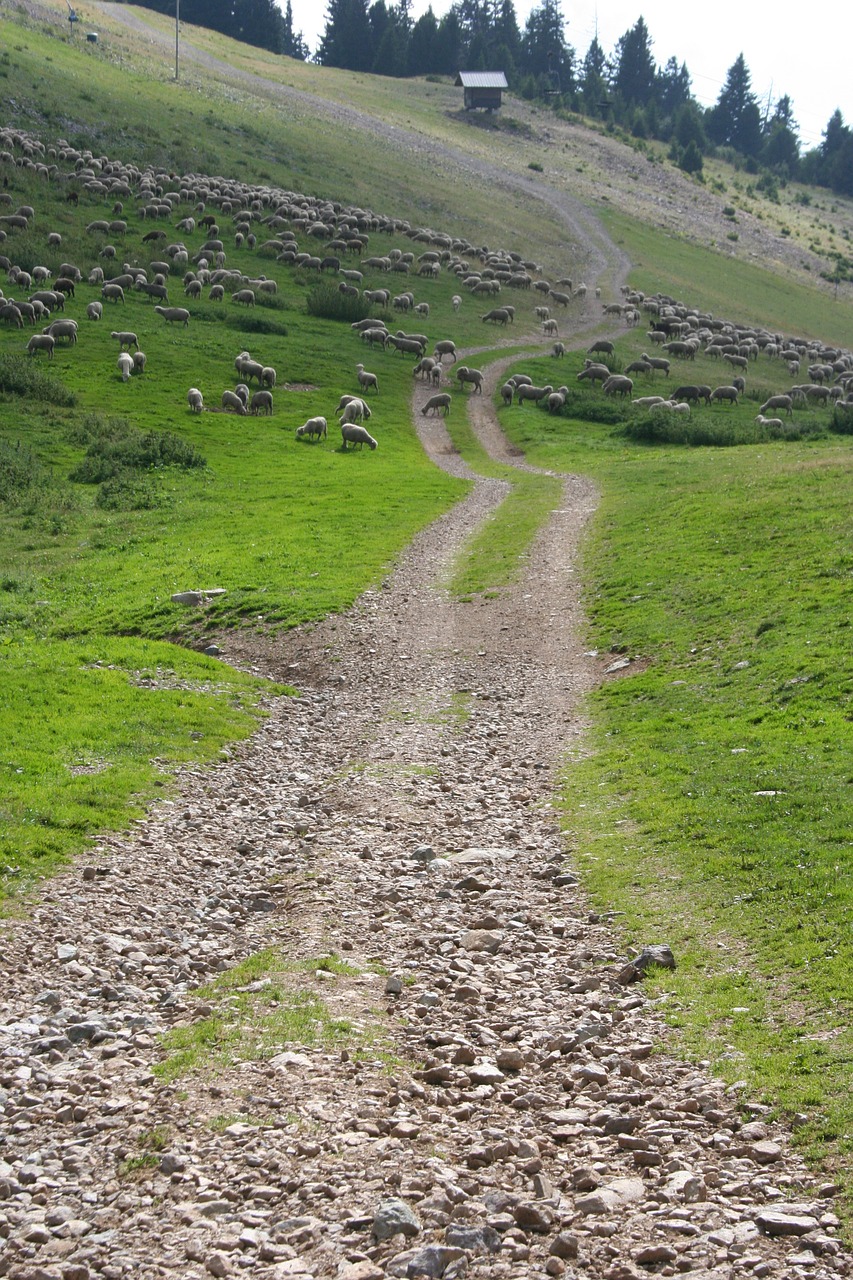 path mountain hiking free photo