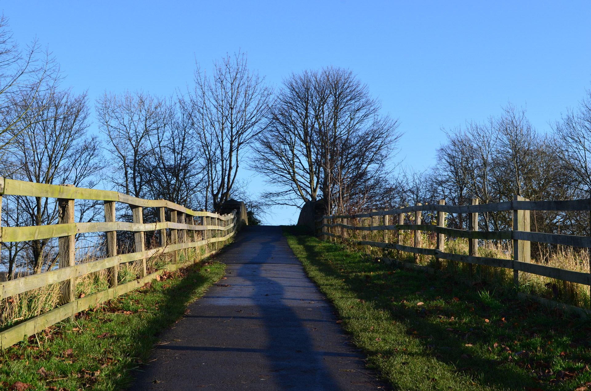 path rail overpass free photo