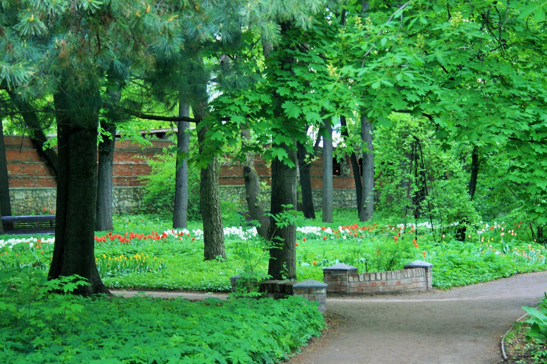 garden botanical path free photo