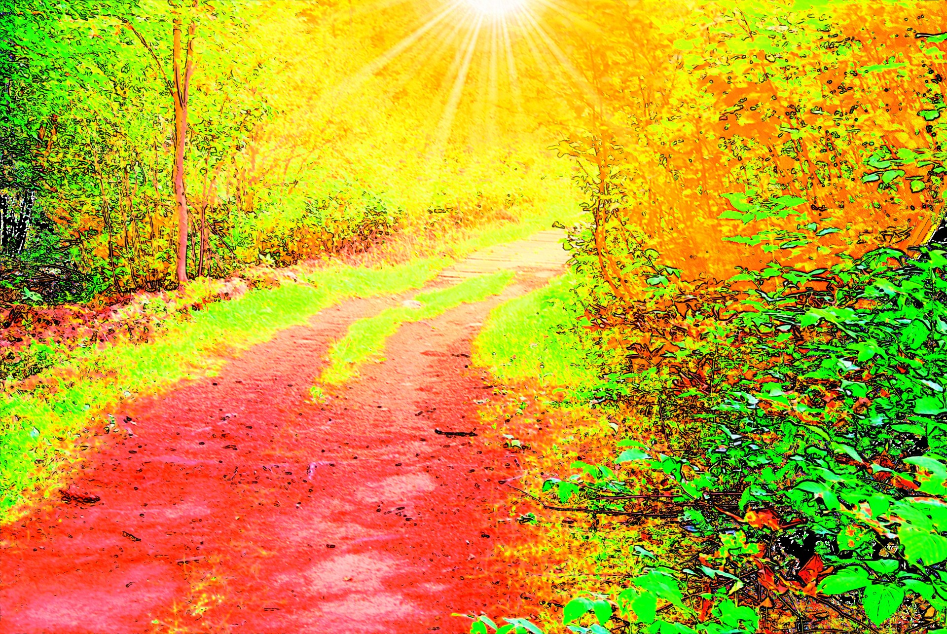 illustration trail pathway free photo