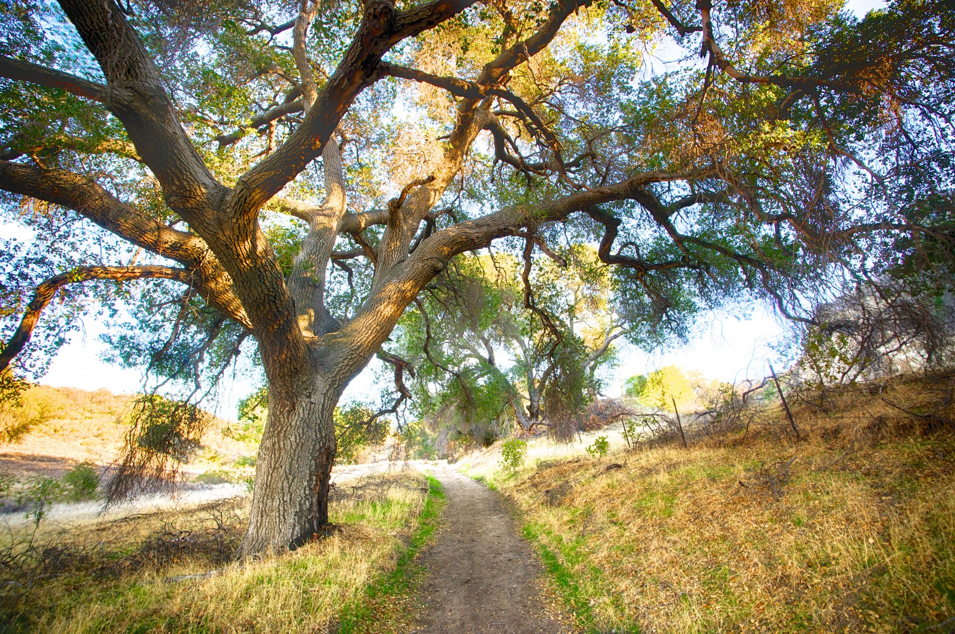 california canyon dirt free photo