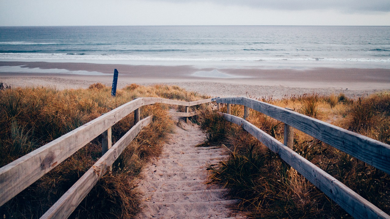 pathway beach sand free photo