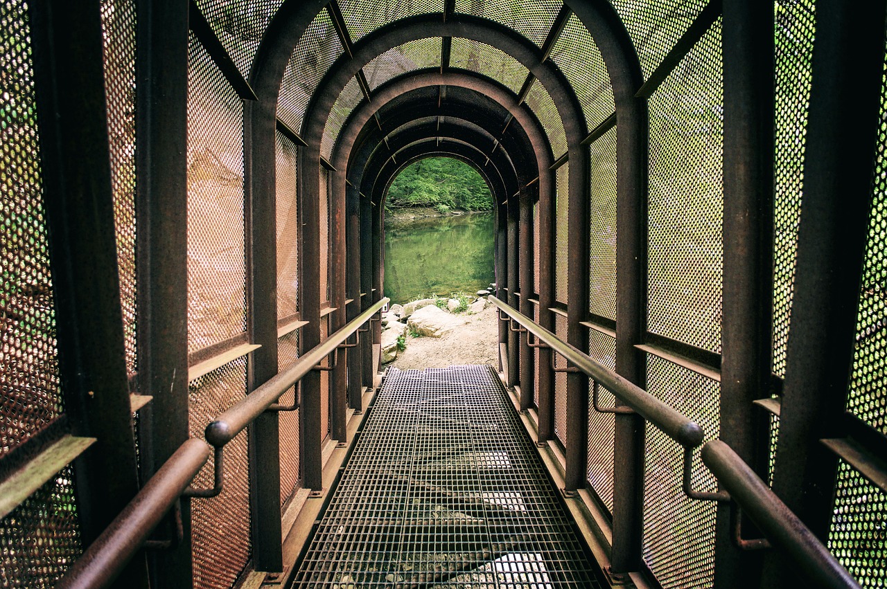 pathway tunnel lake free photo