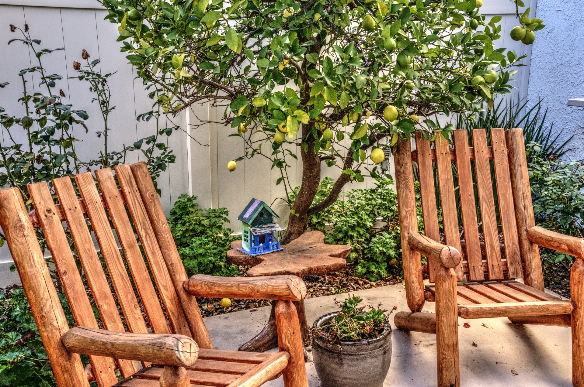 patio patio chairs tree free photo