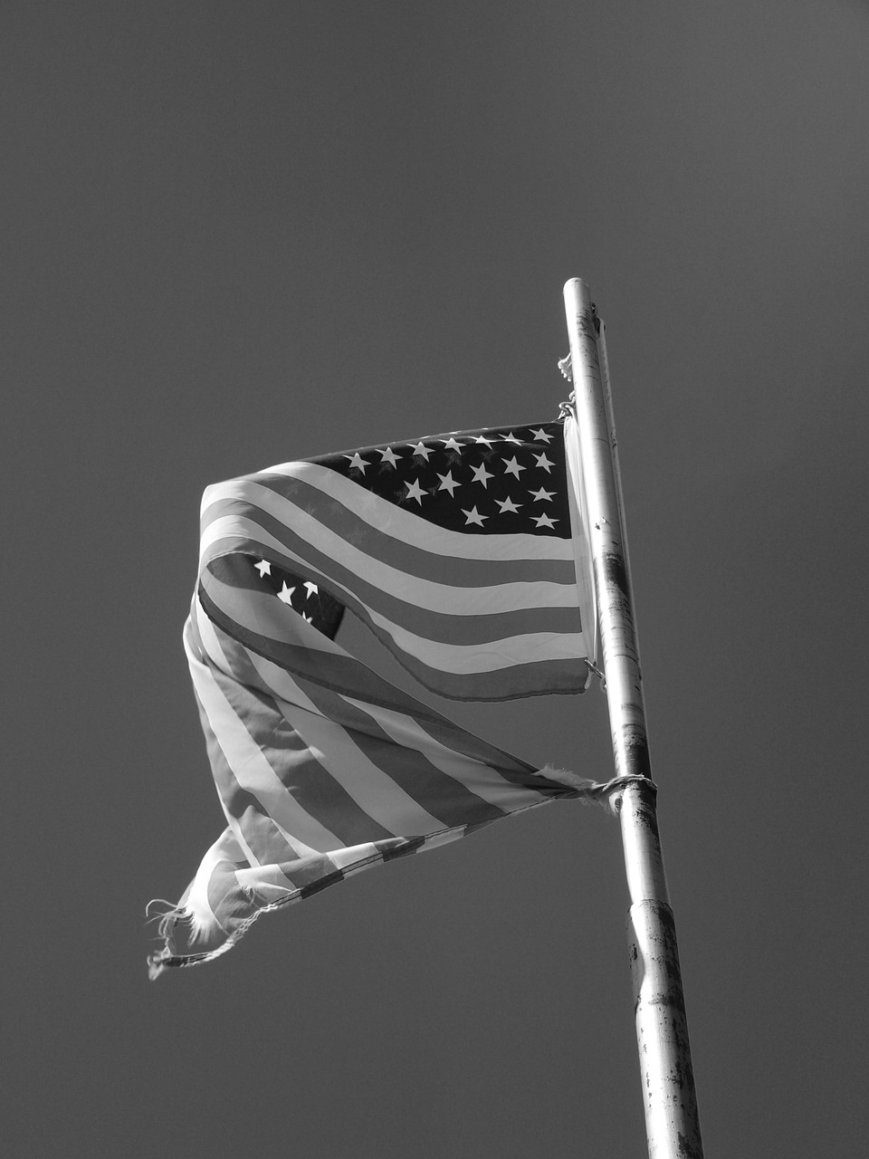 patriotic flag america free photo