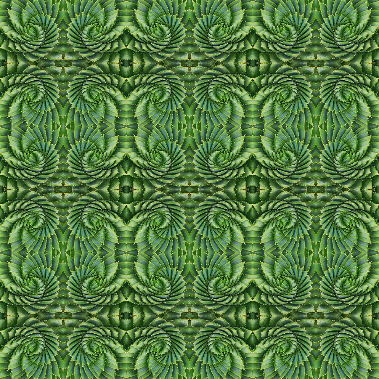 pattern design symmetrical free photo