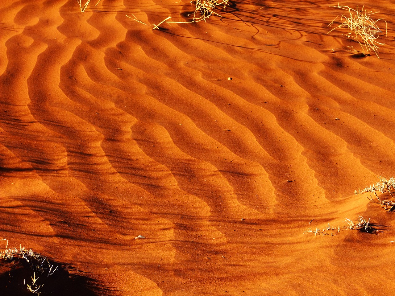 pattern sand desert free photo