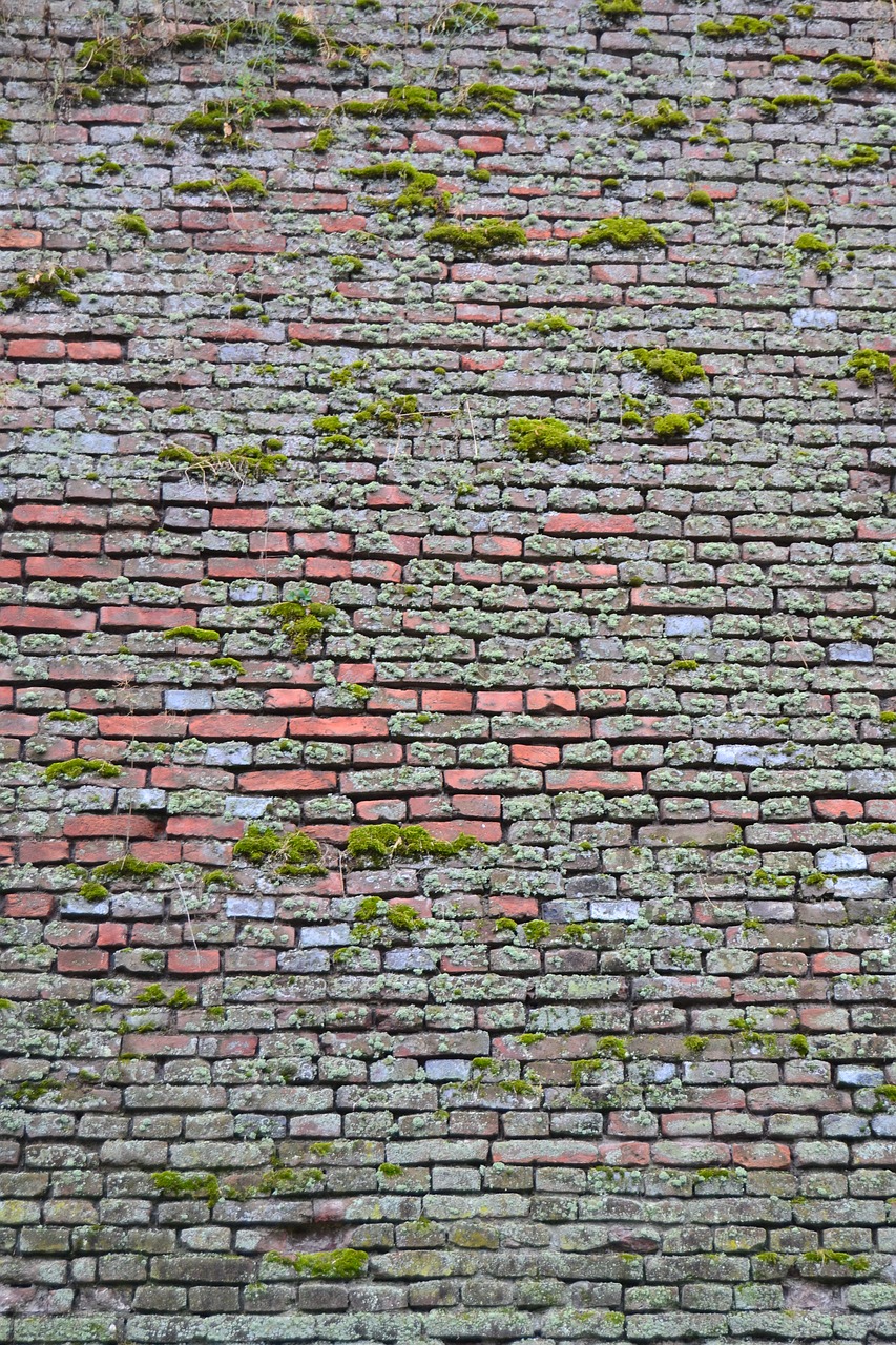 pattern brick nature free photo