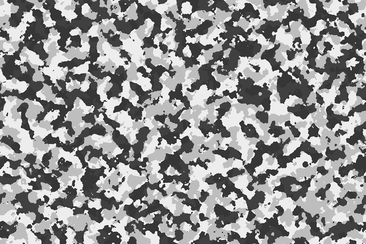 pattern camouflage seamless free photo