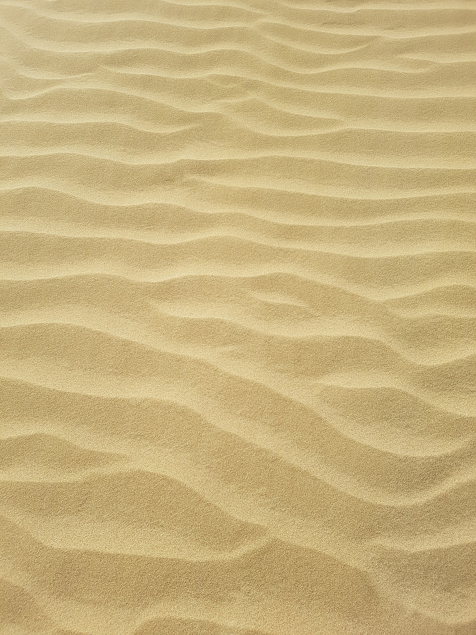 pattern sand abstract free photo