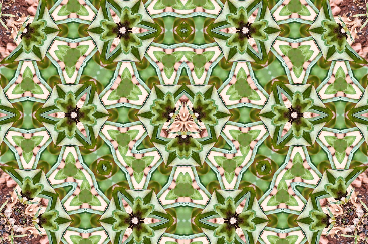 pattern ornament flower free photo