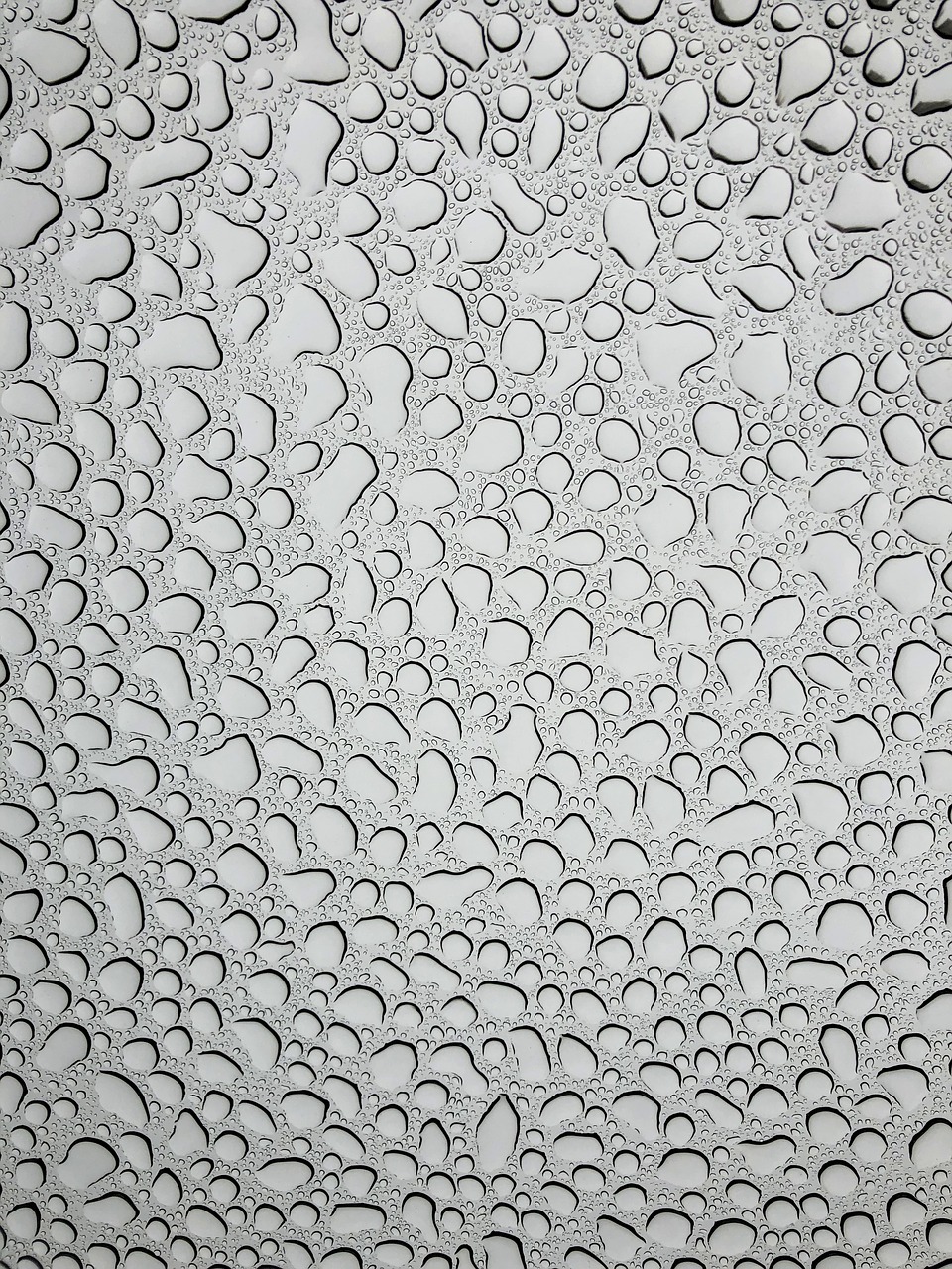 pattern  drops  rain free photo