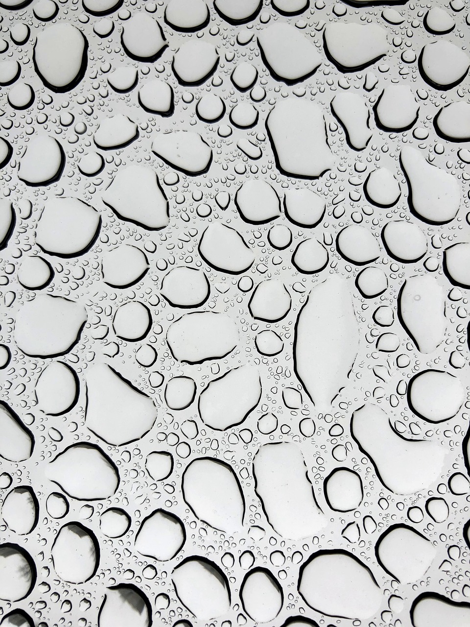 pattern  drops  rain free photo