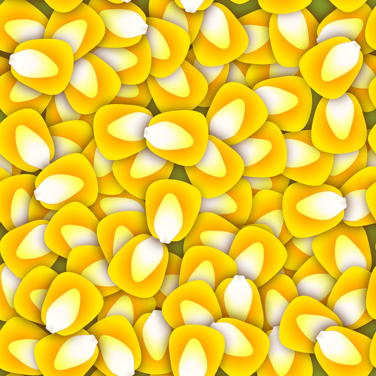 pattern  background  corn kernels free photo