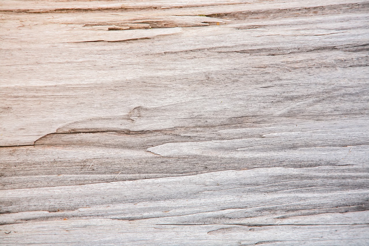 pattern  wood  grain free photo