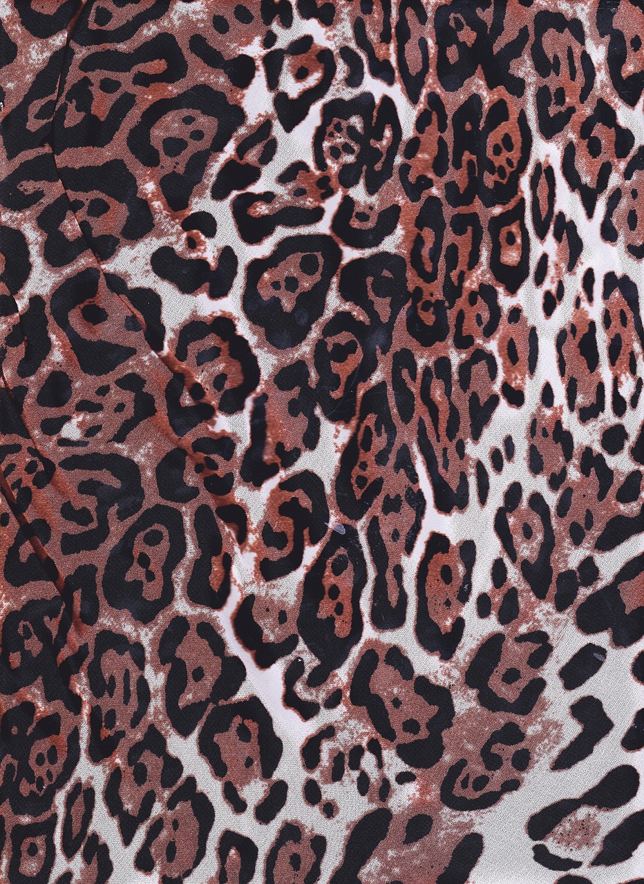 pattern leopard cheetah free photo