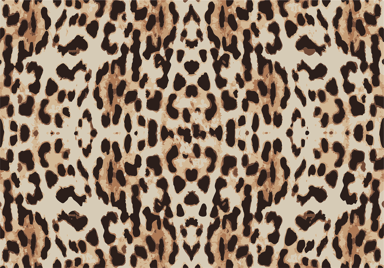 pattern leopard skin free photo