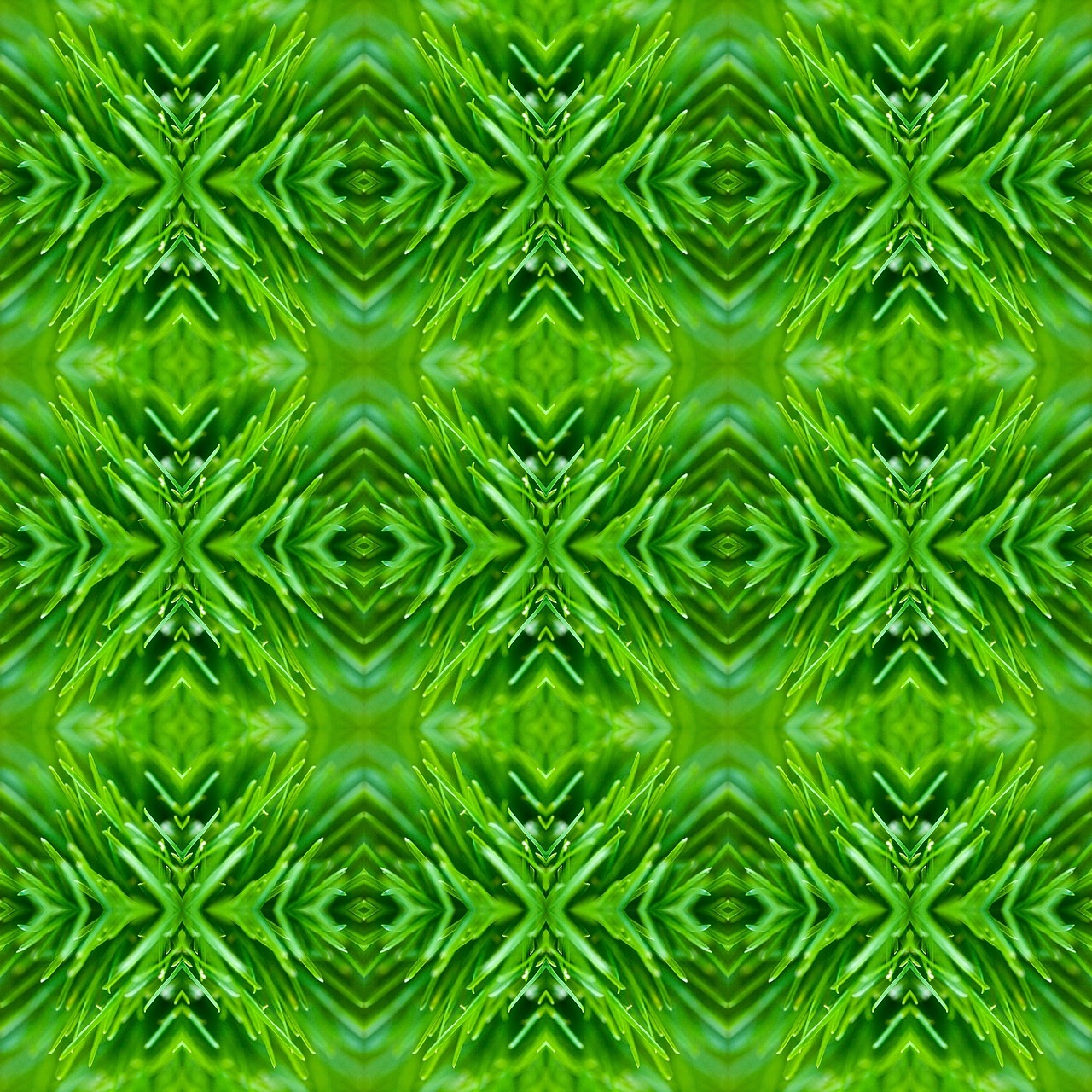 pattern design symmetry free photo