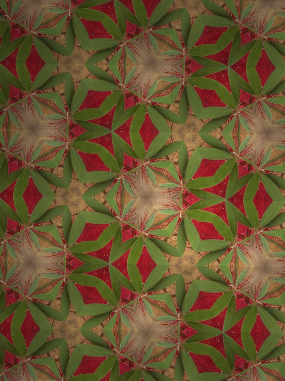 pattern green red free photo