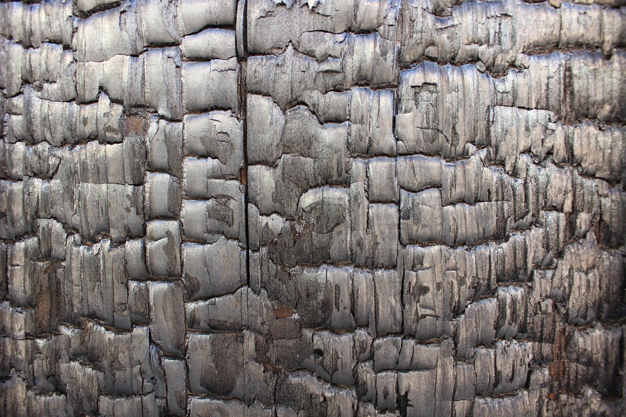 pattern wood grain free pictures free photo