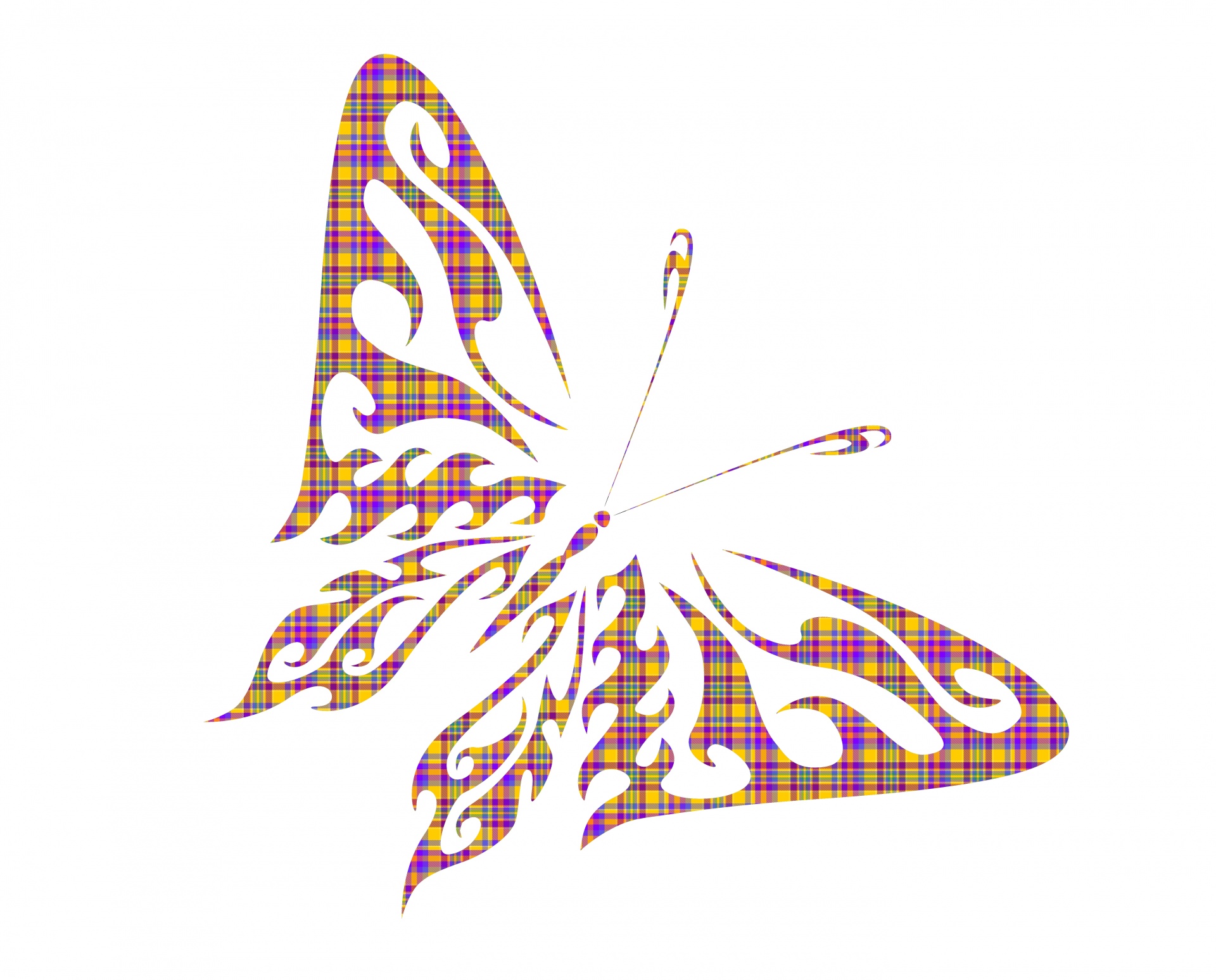 pattern butterfly antennae free photo