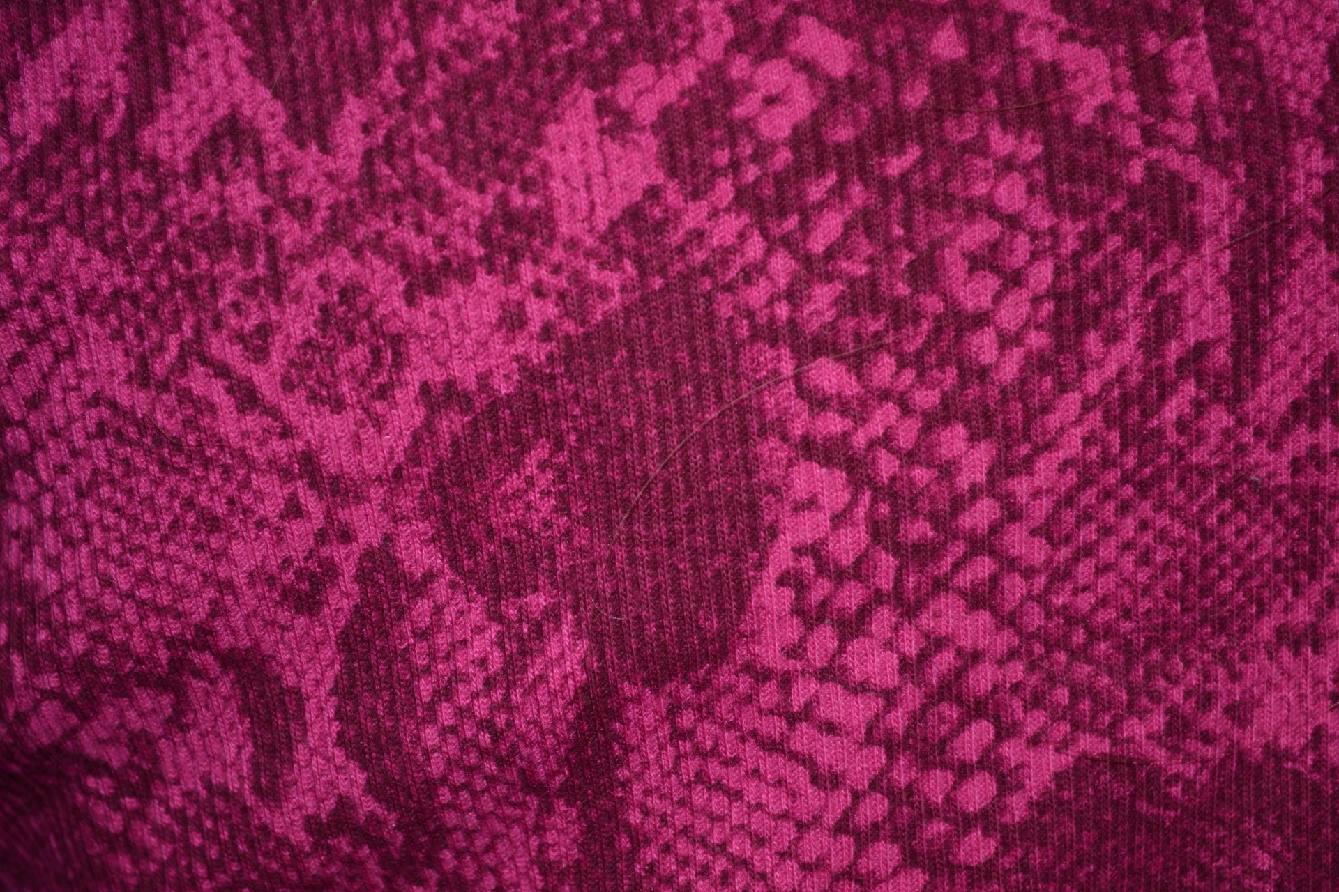 pattern digital pink free photo