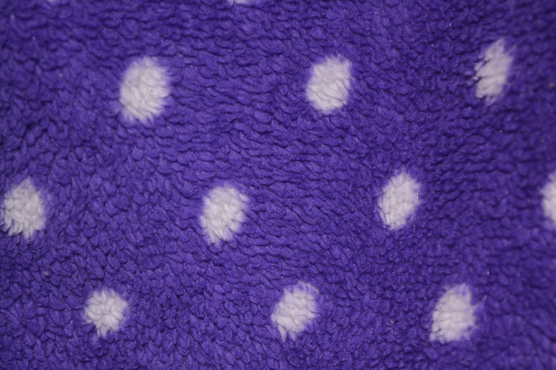 dots purple digital free photo