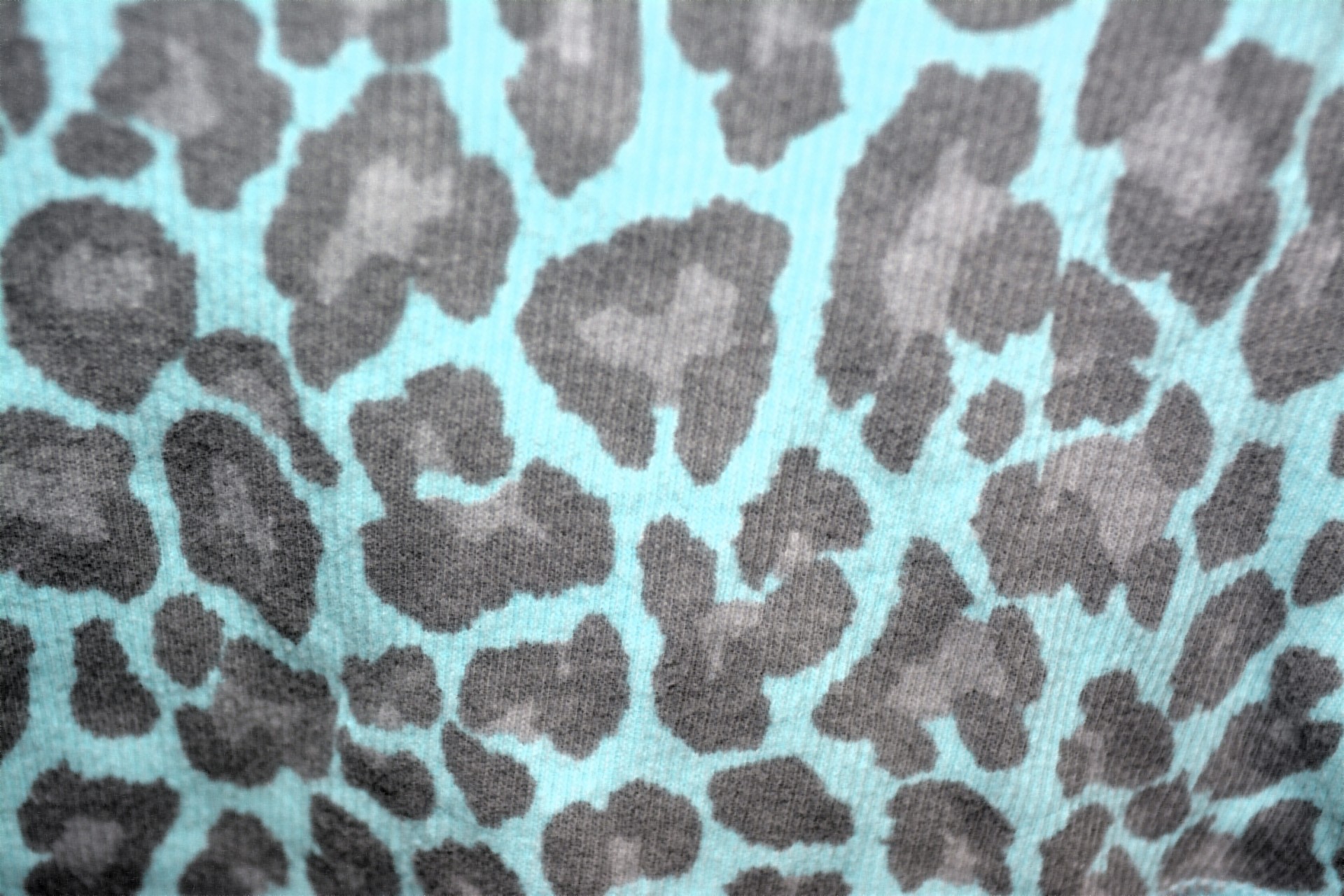 pattern leopard colorful free photo