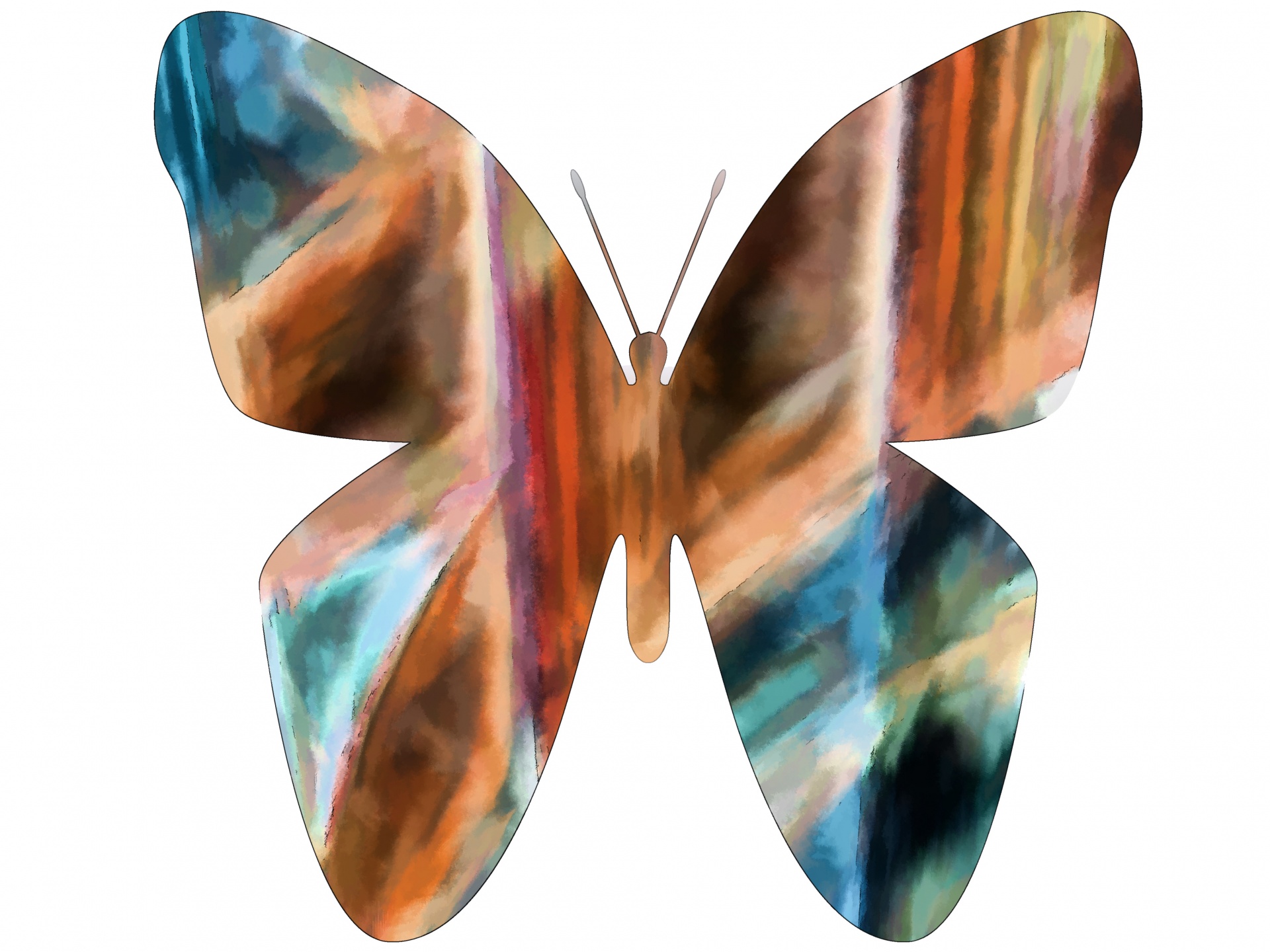 butterfly butterflies art free photo