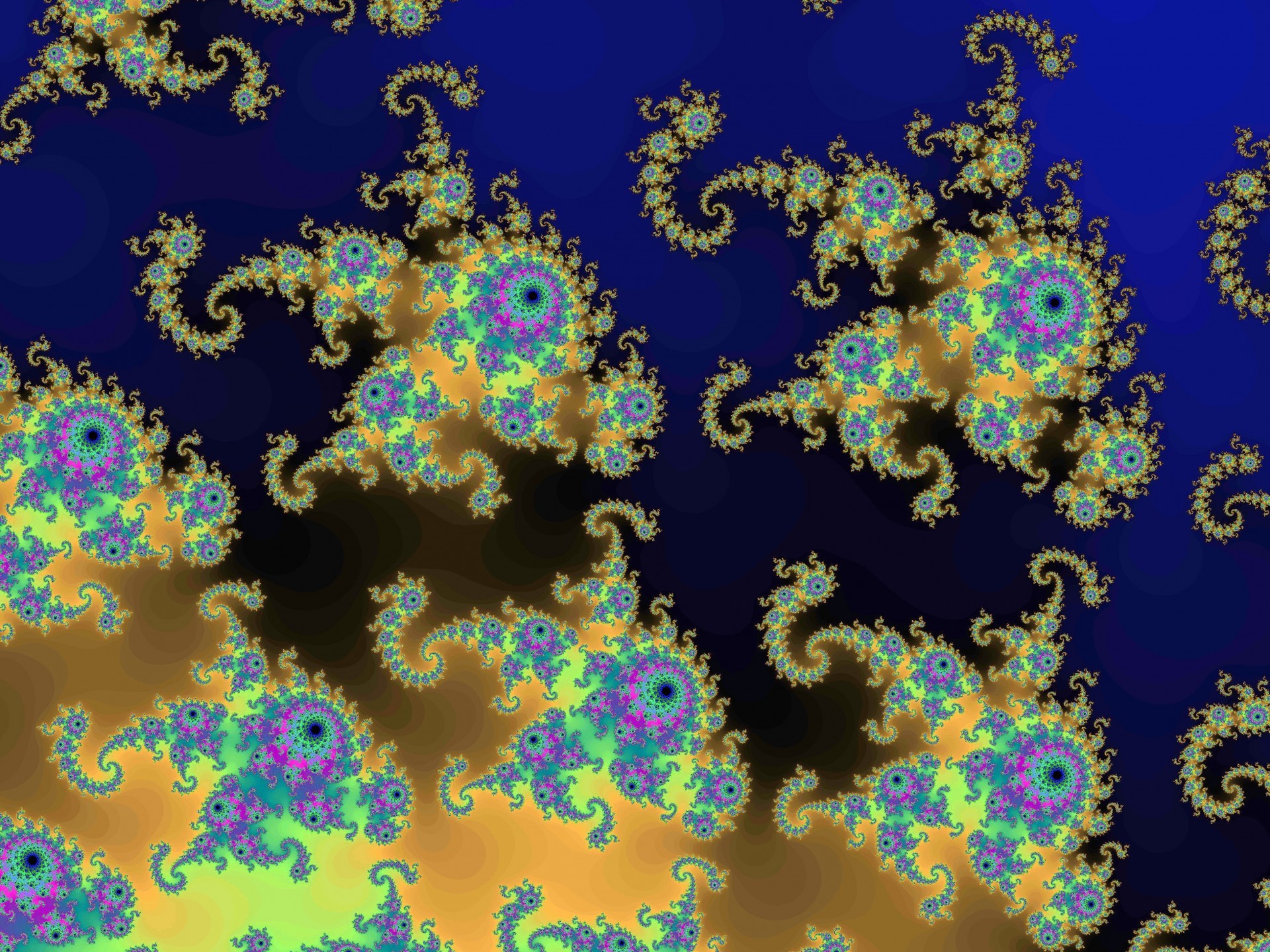 astronira pattern flower fractal free photo