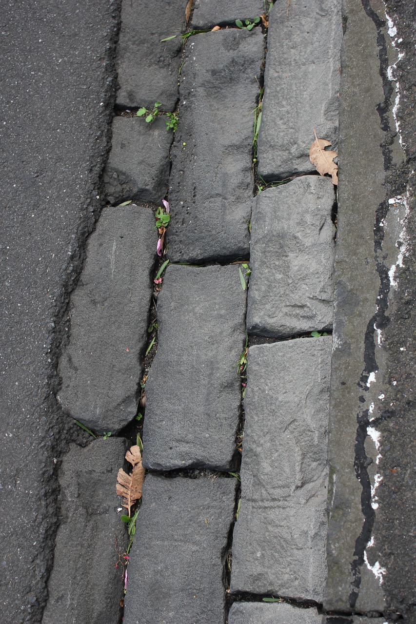 pavement stone floor free photo