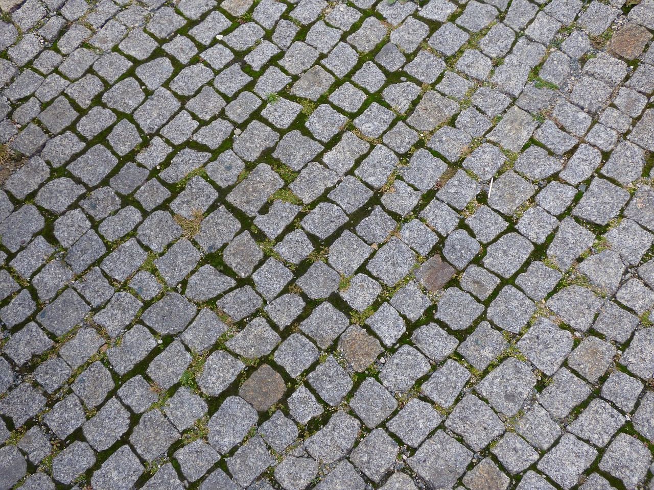 pavement cube pavers free photo